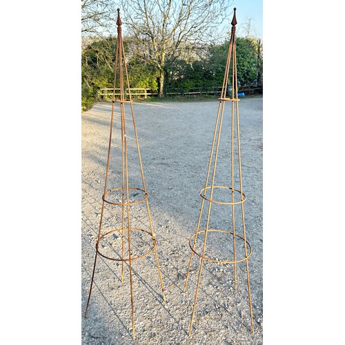 Lot 10        