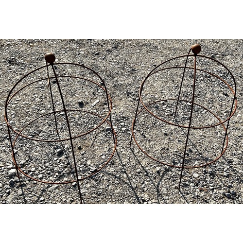 Lot 44        