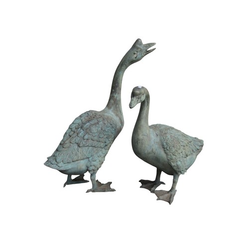 Lot 1048      