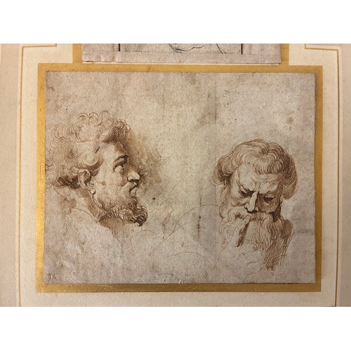 178 - Studio of Peter Paul Rubens (1577-1640), Attributed to Sir Anthony van Dyck (1599-1641) - A head of ... 