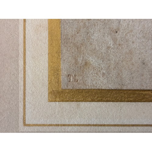 178 - Studio of Peter Paul Rubens (1577-1640), Attributed to Sir Anthony van Dyck (1599-1641) - A head of ... 