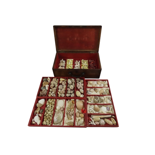 25 - A Victorian oak collector’s case with hinged cover and carrying handle containing a good collection ... 