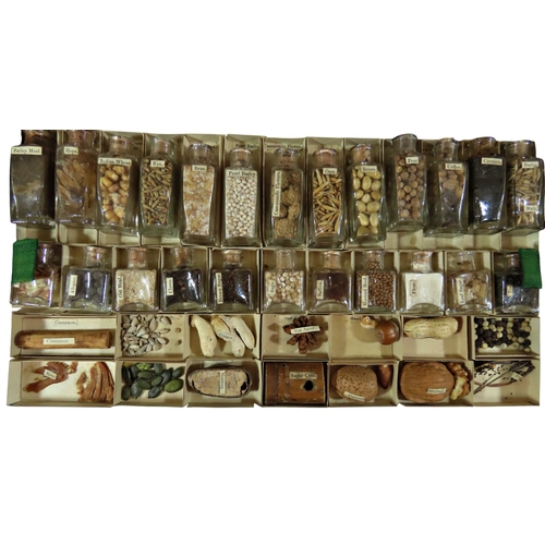 27 - An unusual Victorian pine ‘educational box’ or Wunderkammer collection case, the hinged cover openin... 