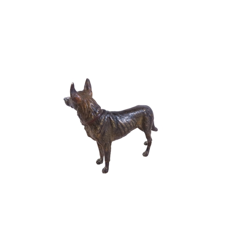 7 - A large late 19th century Austrian cold painted cast bronze model of a standing Alsatian dog, in the... 
