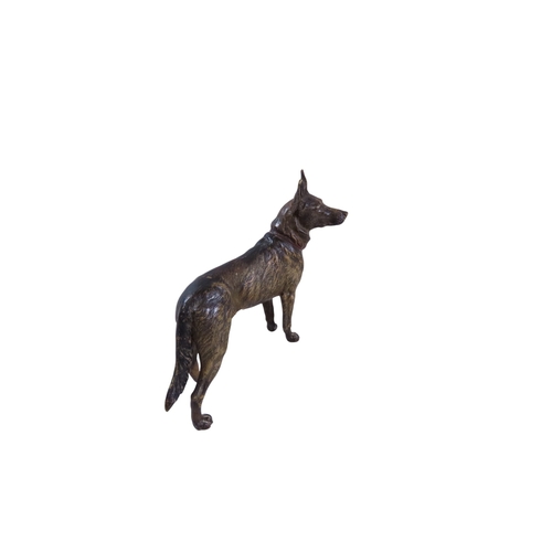 7 - A large late 19th century Austrian cold painted cast bronze model of a standing Alsatian dog, in the... 