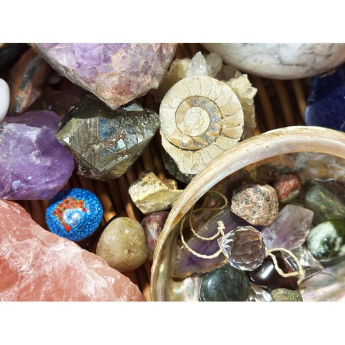 A mixed collection of quartz, crystals, fossils, shells, etc to include ...