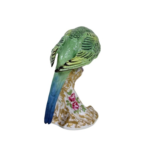 19 - A Royal Worcester figure of a Budgerigar, upon a stump, 2664