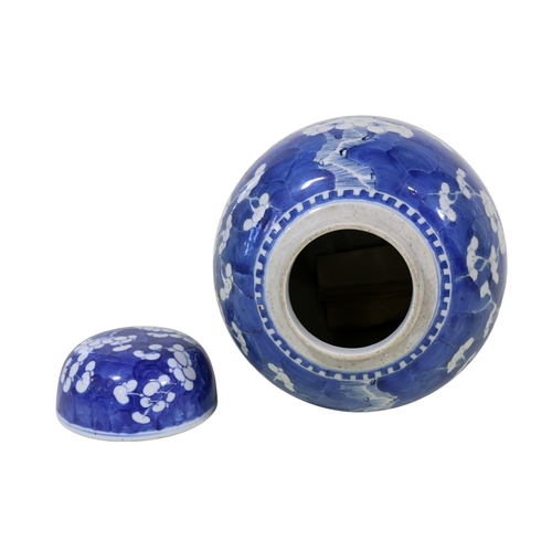 56 - A large late 19th century Chinese blue and white porcelain prunus jar and cover, 35 cm high