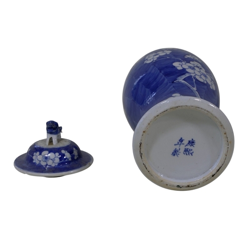 57 - A pair of late 19th century, Chinese blue and white porcelain prunus vases of baluster form, with do... 
