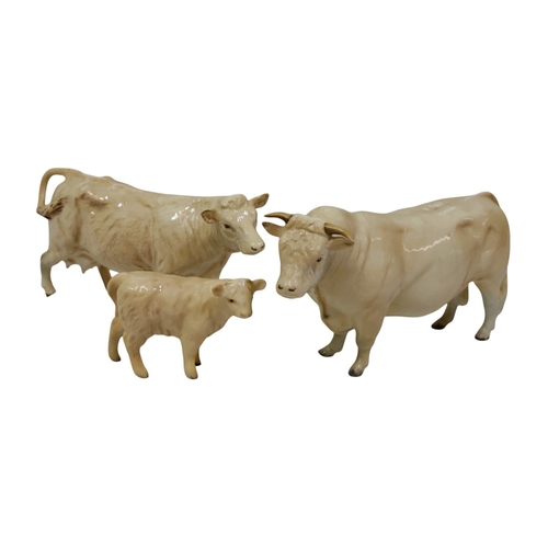 Lot 67        