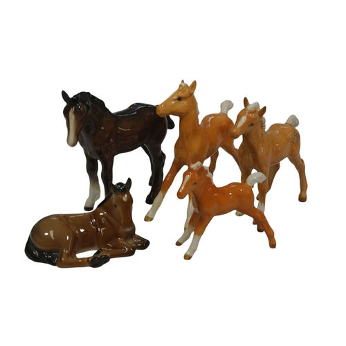 Lot 71        