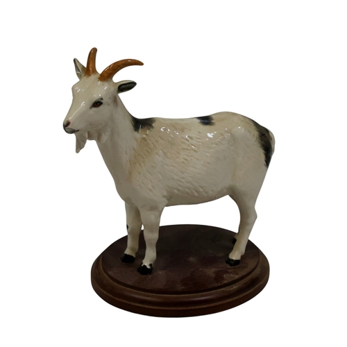 Lot 75        