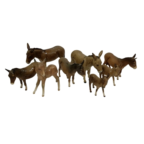 Lot 81        
