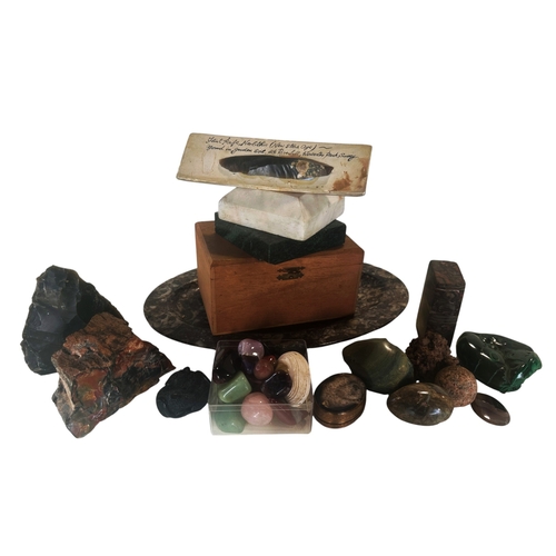 Lot 797       