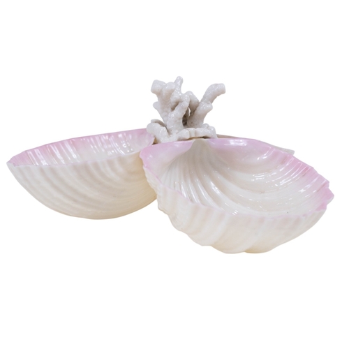 144 - A Belleek 3 divisional shell & coral hors d'oeuvre dishes & 2 further vases