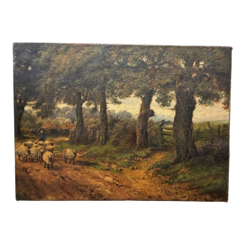 Lot 42        