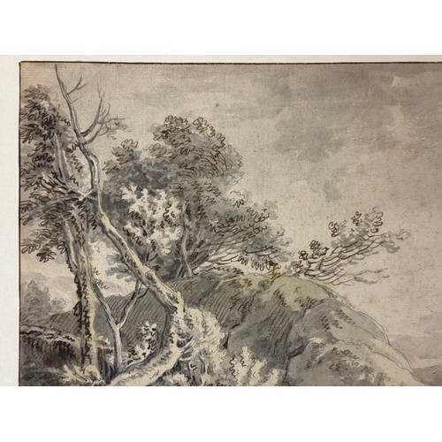8 - Northern European School, c.18th Century - Trees within a landscape, ink and wash on laid paper, pos... 