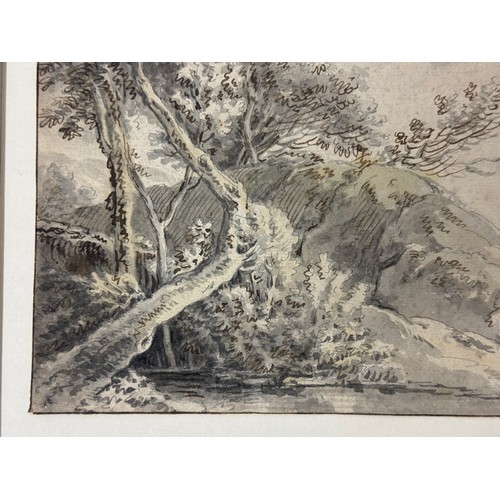 8 - Northern European School, c.18th Century - Trees within a landscape, ink and wash on laid paper, pos... 