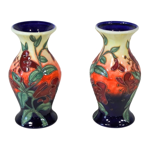 Lot 25        
