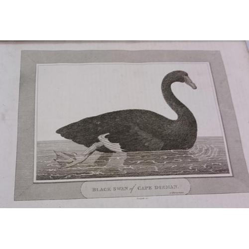 99 - Cavendish Pelham - 'The World - Voyages & Travels' (1806) - Two Volumes - Plates - Half Calf Binding