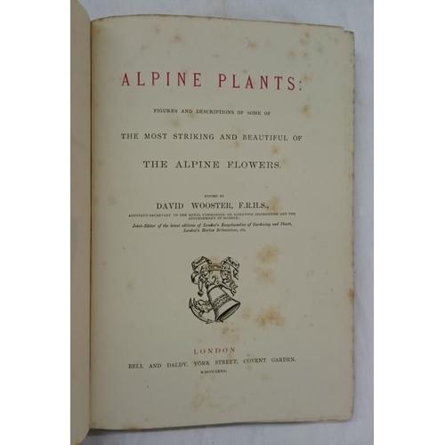 104 - D. Wooster 'Alpine Plants' (1872) - Fine Colour Plates - Gilt Cloth