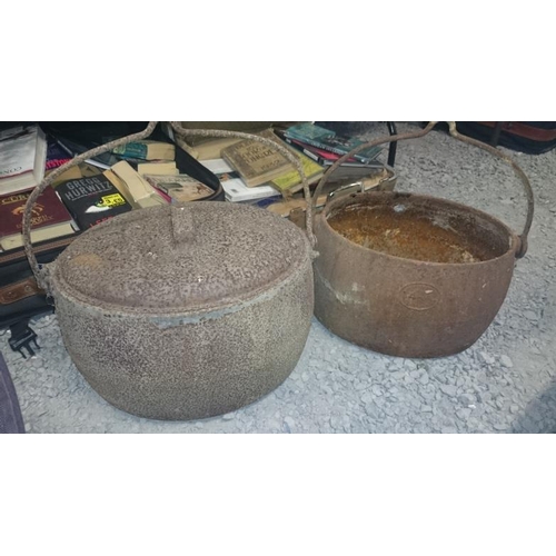 42 - Two Oval Cast Iron Pots