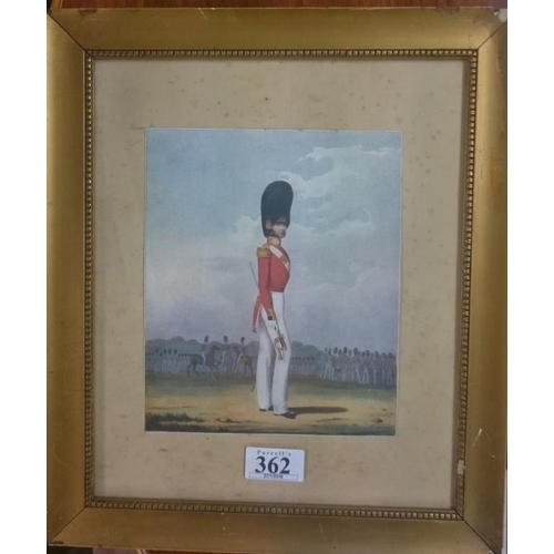 541 - Print of an Officer in the Grenadier Guards