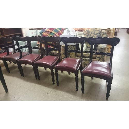 512 - Set of Seven (6 Chairs + 1 Carver) William IV Rosewood Dining Chairs with Carved Back Rails, Concave... 