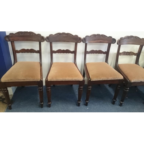 527 - Set of Six William IV Rosewood Dining Chairs with Carved Back Rails and Octagonal Tapering Legs - st... 