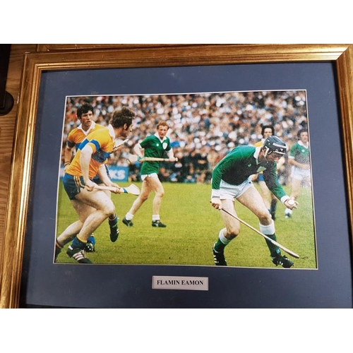 59 - Set of Six GAA Prints