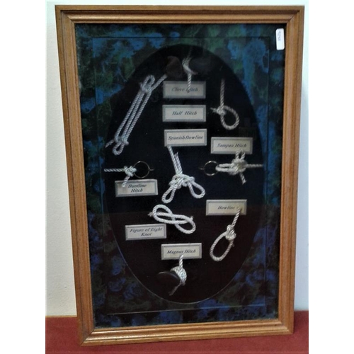 478 - Framed Collection of Nautical Knots, c.12in x 18in