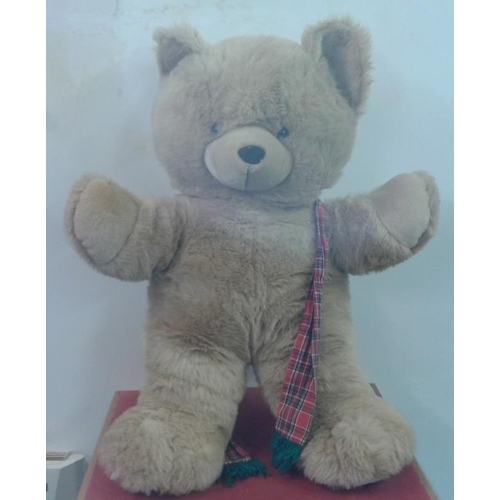 584 - Large Teddy Bear