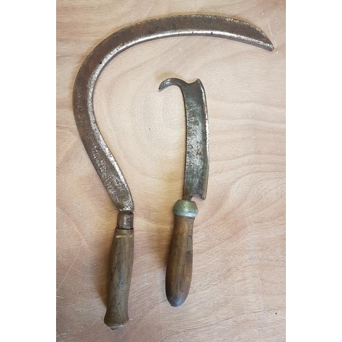 Lot 145       