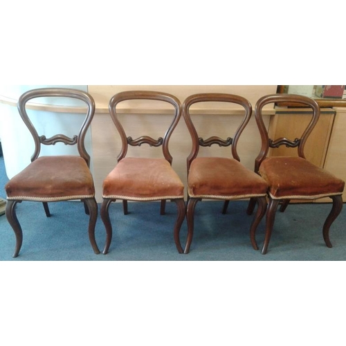 679 - Set of Four Victorian Mahogany Dining Chairs on Cabriole Legs