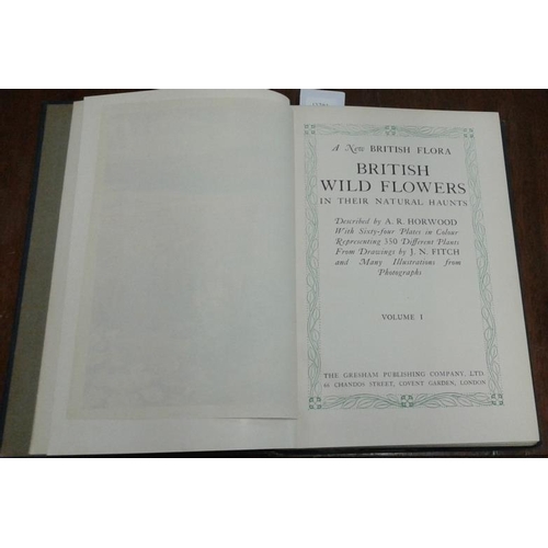 309 - 'British Wild Flowers in Their Natural Haunts' by A. R. Horwood - 1st Edition - 1919