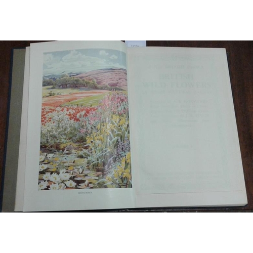 309 - 'British Wild Flowers in Their Natural Haunts' by A. R. Horwood - 1st Edition - 1919