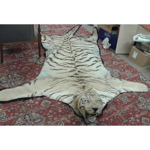 628 - Bengal Tiger Floor Rug (1870) complete with Head