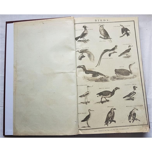 71 - 'A New and Complete System of Natural History' (c. 1805) Numerous Plates. Large Folio.