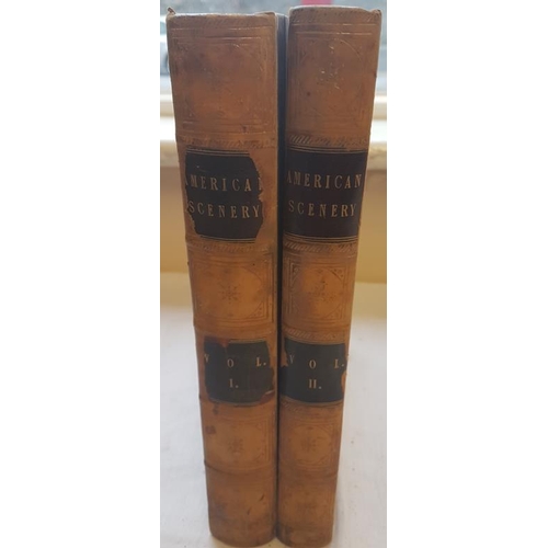 210 - N. Willis & W. H. Bartlett 'American Scenery' (1840). Two Volumes. Numerous Plates. Fine Binding.