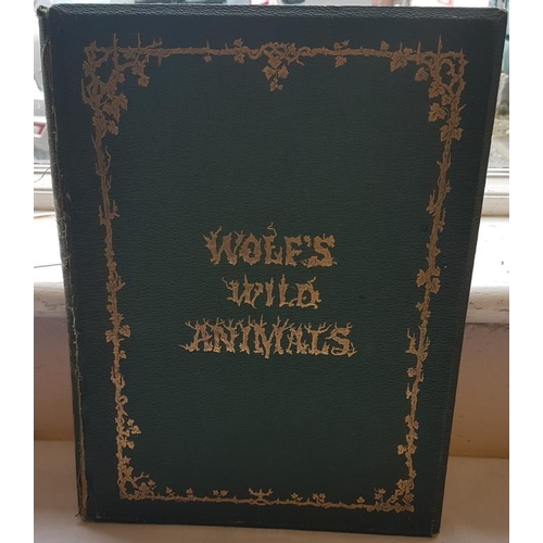 387 - Joseph Wolf 'Wild Animals' (1874) 1st Edition.  Folio.  Illustrated. Gilt Cloth.