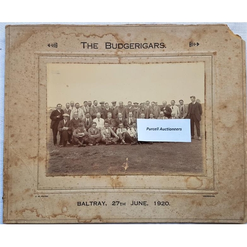 468 - [Golfing Interest]. The Budgerigars. Baltray, 27th June, 1920. Photograph by Payne, Drogheda