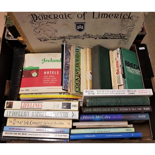 494 - Box of Irish Interest Books