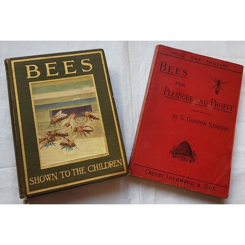 551 - G. G. Samson 'Bees for Pleasure and Profit' (1892) 1st Edition;  and 'Bees Shown to Children'. Colou... 