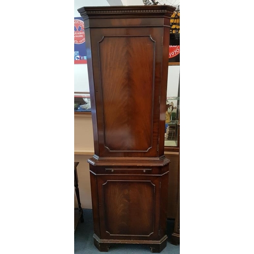 276 - Georgian Style Mahogany Corner Cabinet with solid panel cupboards, c.25in wide