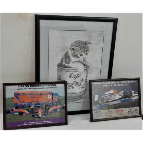 312 - Cat Picture and Two Motor Racing Pictures