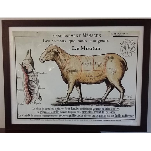 625 - Framed French Educational Poster 'The Animals We Eat' A guide to Cut's of Lamb 26