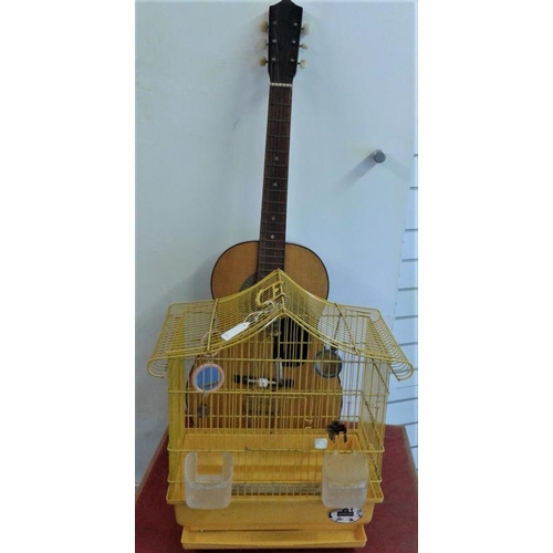 12 - Guitar and a Bird Cage