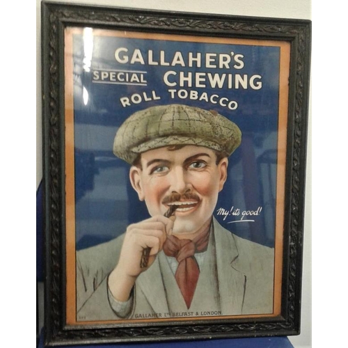 Framed 'Gallagher Chewing Roll Tobacco' Advertisement
