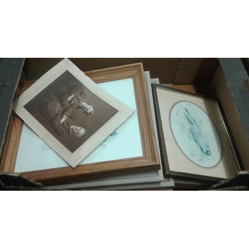 556 - Box of Framed Prints, etc.