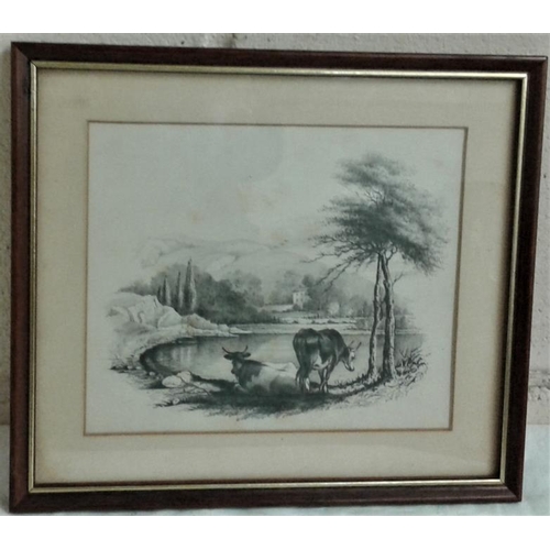 523 - Framed Sketch of Two Cows (1800's) - Overall c. 10 x 9ins